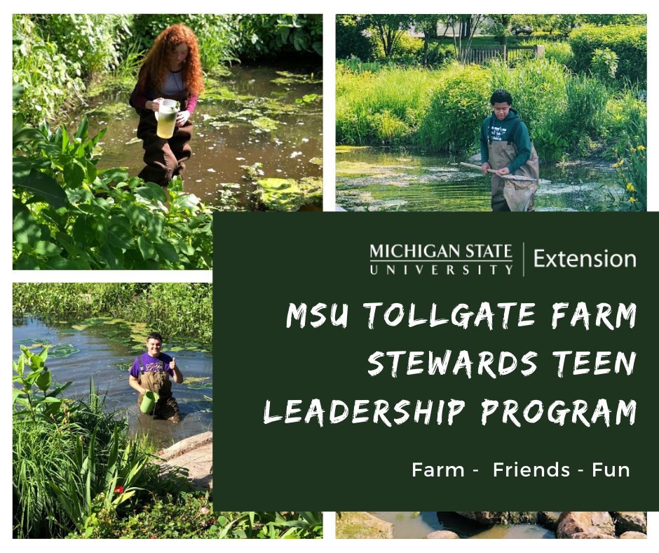 MSU Tollgate Farm Stewards program (1)